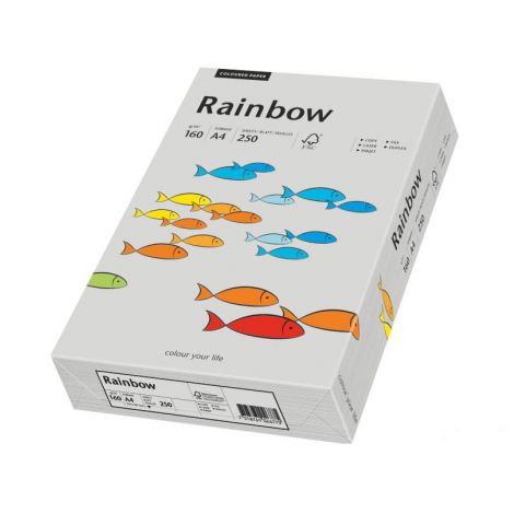 Papier ksero A4/250/160g Rainbow szary